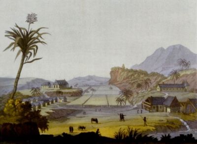 Plantation aux Antilles
